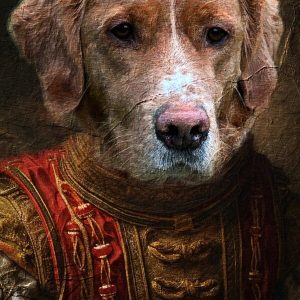 Puppy Wall - Golden Moments, Forever on Canvas Review of Shop by Jake M.